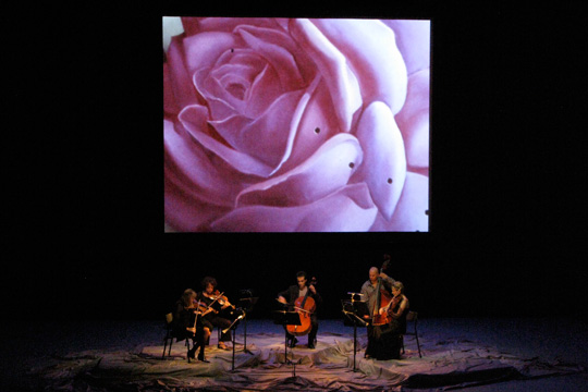 Traffic Quintet